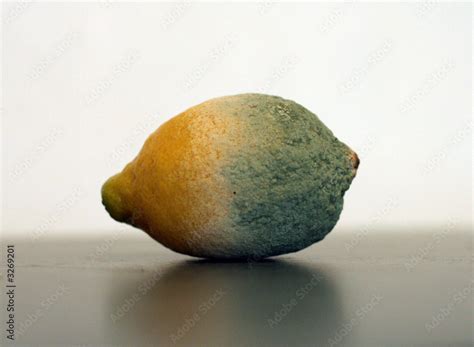 Citron Pourri Photos Adobe Stock