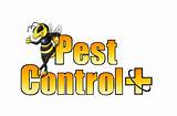 Pest Logo Pictures