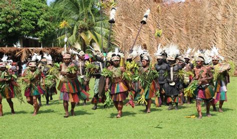 Pin On Things To Do In Papua New Guinea
