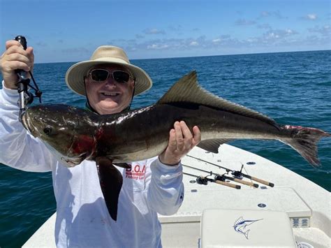 Fishing For Cobia In Florida Crystal River Florida Fishing Adventures