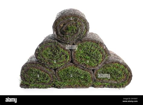 Rolls Of Grass Sod On White Background Stock Photo Alamy