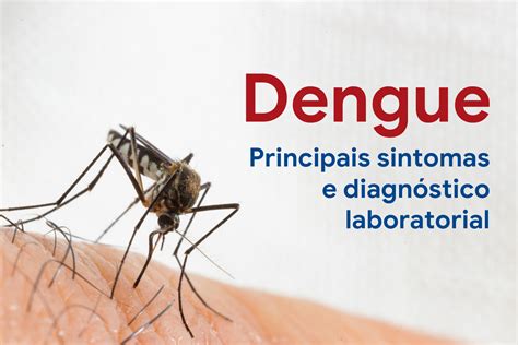 Dengue Ataca Os Rins