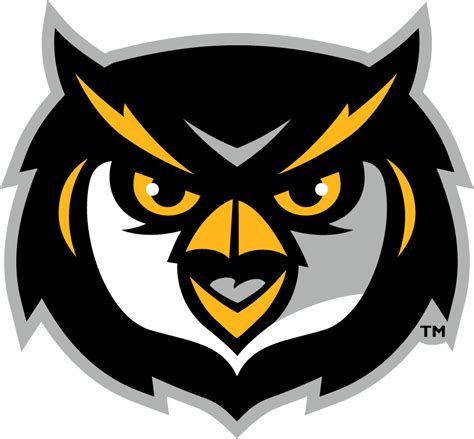 Kennesaw State Owls Secondary Logo Ncaa Division I I M Ncaa I M