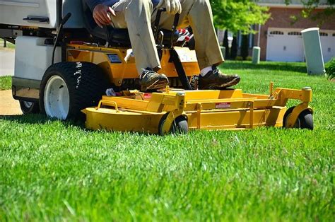 The Importance Of Proper Mowing Techniques For A Lush Lawn Updated Ideas