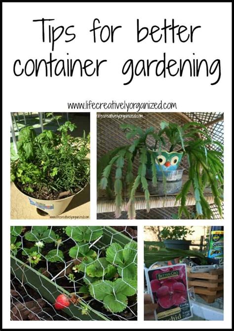 4 Quick Tips For Better Container Gardening Life Creatively Organized