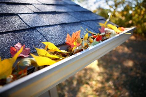 How to clean rain gutters without a ladder. The Dangers of Gutter Cleaning: How to Protect Yourself ...