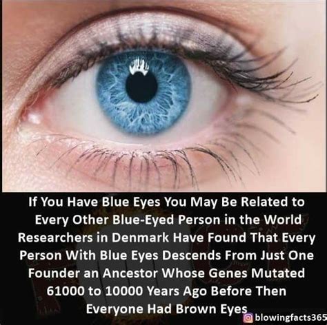 Blue Eyes Blue Eye Facts Eye Facts Eyes