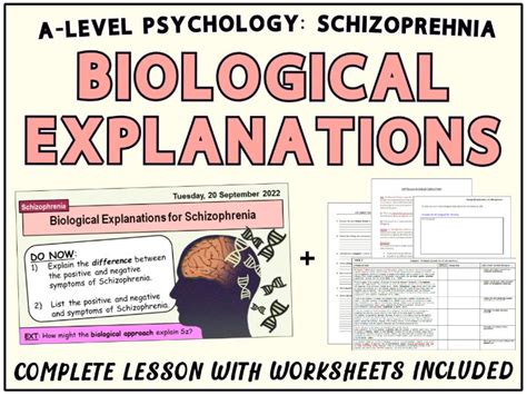 A Level Psychology Biological Explanations For Schizophrenia