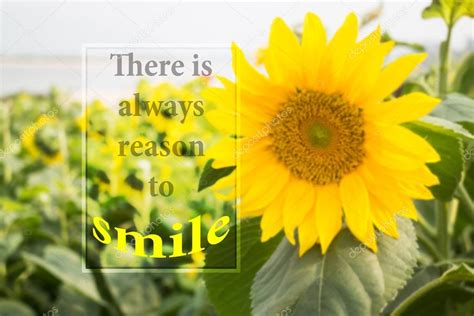 There Is Always Reason To Smile Message With Beautiful Sunflower