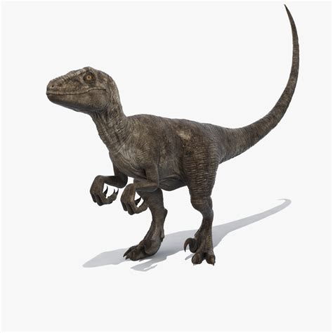 Velociraptor Rigged — Missset
