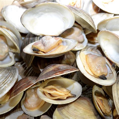 Whole Shell Clams Seasiders Seafoods