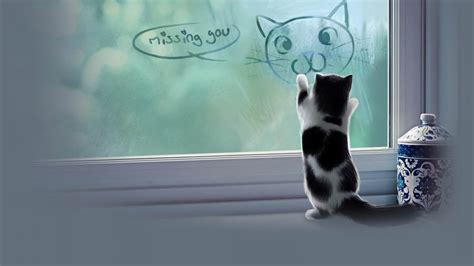 Cat Meme Quote Funny Humor Grumpy Kitten Sad Love Mood