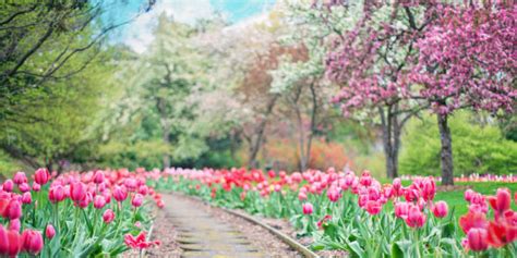 10 Spring Activities For Adults To Enjoy