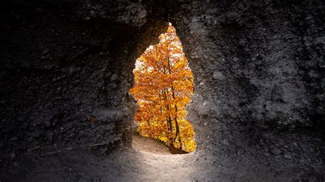 Download Wallpaper 1920x1080 Cave Trees Yellow Autumn