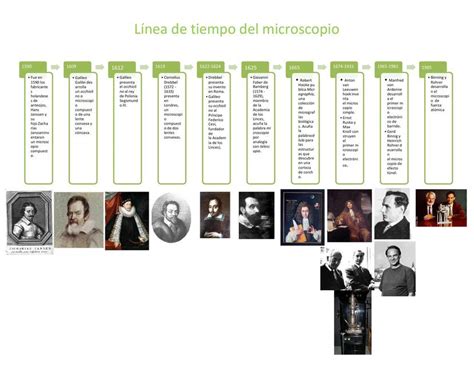 Linea De Tiempo Del Microscopio Udocz