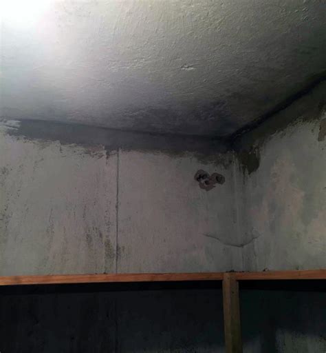 Ceiling mold is unsightly, unhealthy and a bit of a challenge to clean. Basement Waterproofing - Wet Cold Room Soaks Finished ...