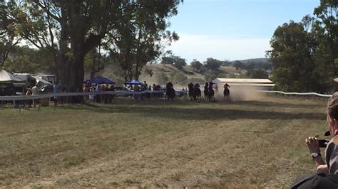 Wallabadah Cup Track Safety Concerns End 169 Year New Years Day Picnic Races Tradition Abc News