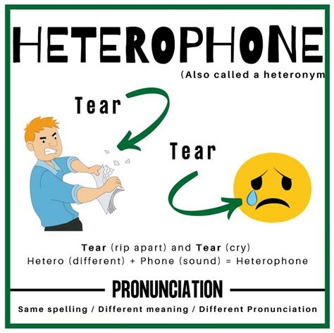 Mastering Heterographs Heterophones And Homophones Educational