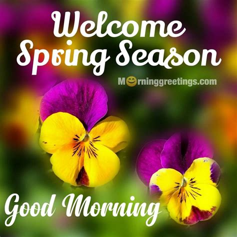 30 Good Morning Spring Wishes Morning Greetings Morning Quotes And Wishes Images Spring