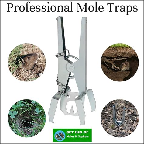 Hhh Hunting Professional Ground Scissor Mole Traps Fast Pest Control