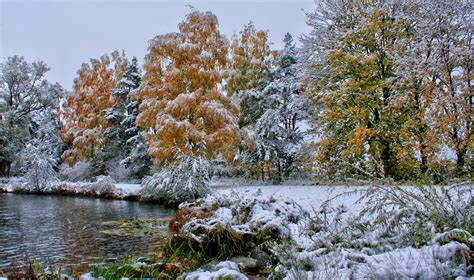 2030x1200 Autumn Cold Fall Forests Frost Grass Lakes Landscapes