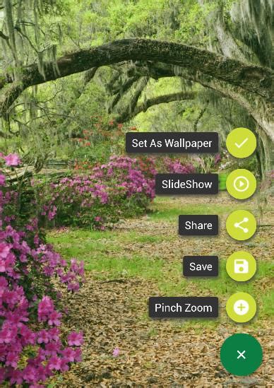 Gambar pemandangan alam danau 0404. Tema Pemandangan Alam - Android Apps on Google Play