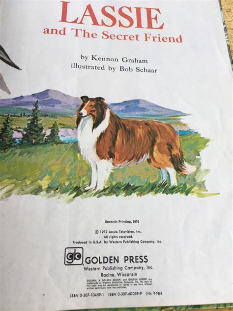 Lassie And The Secret Friend Childrens Hardback Dog Book Etsy