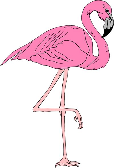Flamingo Flamingo Clip Art Flamingo Illustration Flamingos Art
