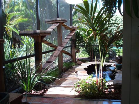 | david from the cat carpenter took an existing outdoor patio and enclosed it in wire mesh, creating a safe space that kitties and. Designing a cattery with the cat in mind | Phynbarr's Weblog