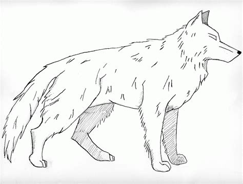 Realistic Wolf Coloring Pages To Print Coloring Home