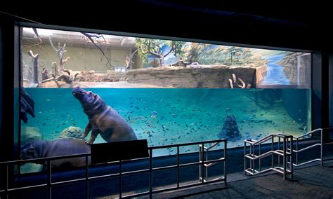 New Jersey State Aquarium Bliss Fasman