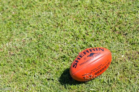 Australian football is the sport for everyone. Sherrin Afl Football Stock Photo - Download Image Now - iStock