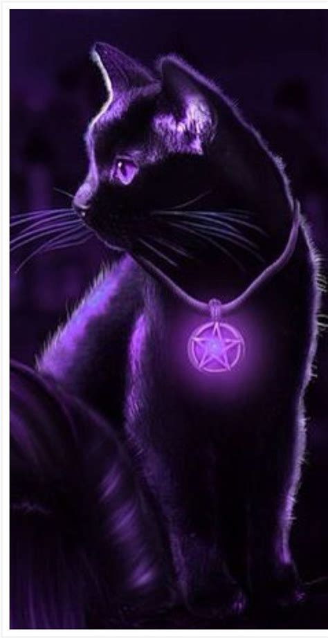 Purple Cat Image By Kathy Bartlett On Purple Cat Art Cute Animal