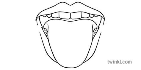Mouth With Tongue Science Anatomy Body Taste Ks1 Black And White