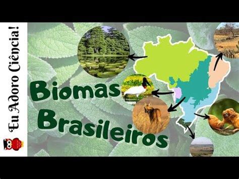 Biomas Brasileiros Youtube Biomas Bioma Brasileiro Comida Brasileira