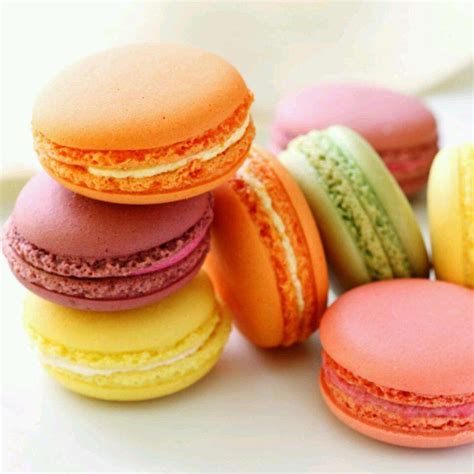 the top 21 ideas about french cookies macaroons best round up recipe collections