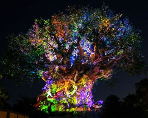 Tree Of Life At Night Time Is So Beautiful Too ️ They Have Tree Of Like