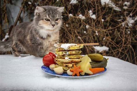 Can cats have whole carrots? Can Cats Eat Potatoes? Is It Safe For Cats To Eat Potatoes ...