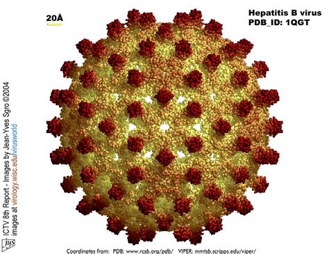 At least four weeks between doses #1 and #2 medicina: HEPATITIS B