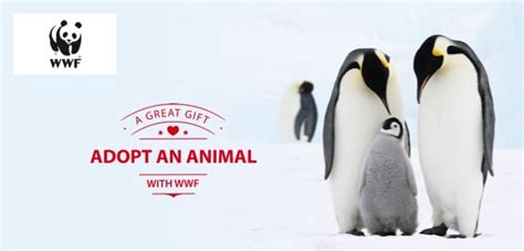 Wwf Adopt An Animal Animal Adoptions From Just £300 Per Month