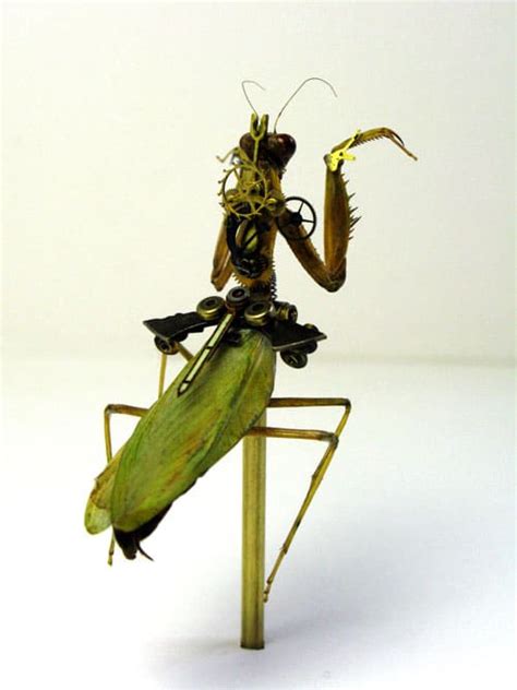 Insects Embedded With Technology Science Fiction Inspired Art Bit Rebels