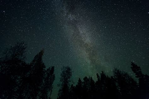 Galaxy Stars Milky Way Night Trees Space Wallpaper 1600x1067 117614