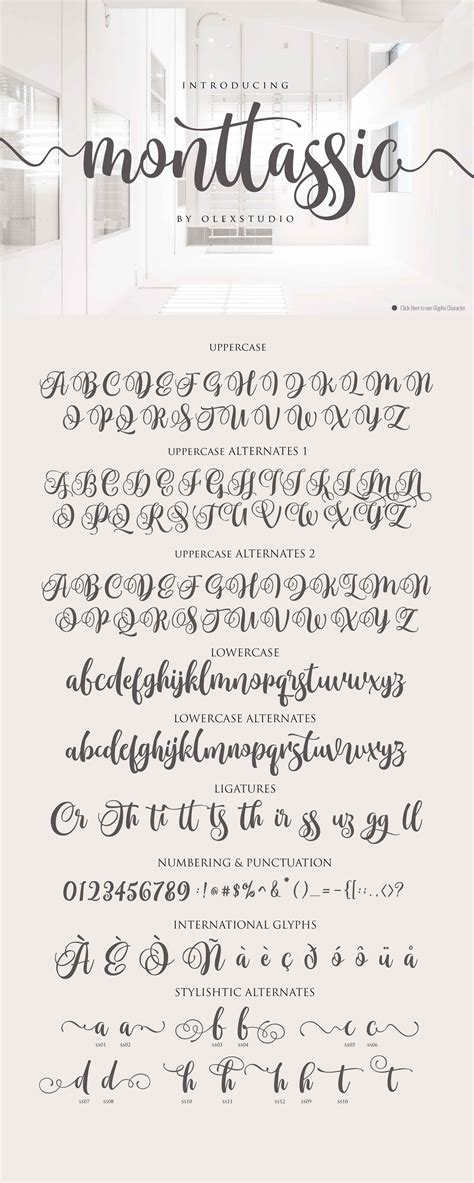 Monttassic Luxury Script Font 50026 Script Font Bundles