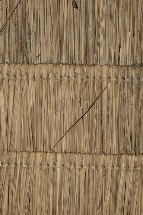 Bamboo Roof Texture And Bamboo