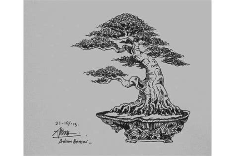 11 Gambar Sketsa Bonsai Terlengkap 2023 Ada Berbagai Gaya