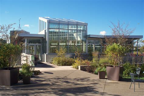 Biophilic Design