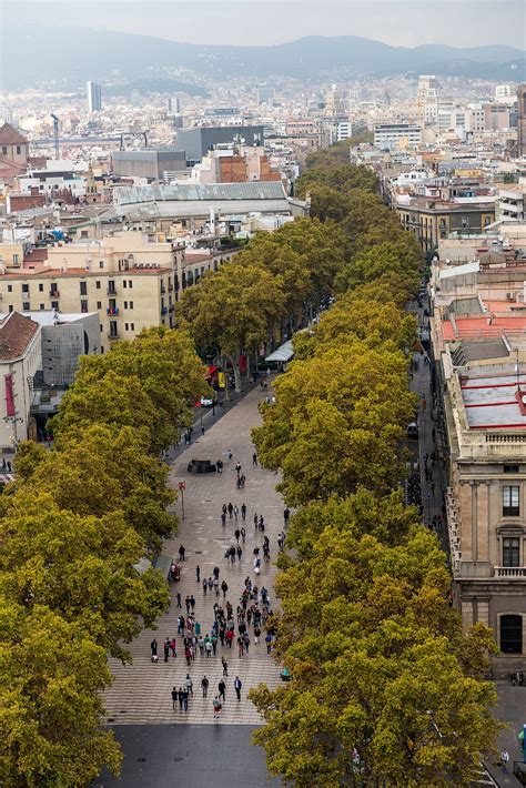 Barcelona is a city on the coast of northeastern spain. De Ramblas (Barcelona) - Wikipedia