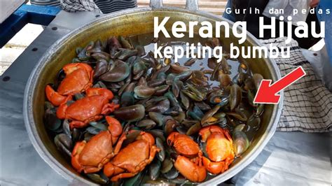 Resep kerang hijau kuah kecap legit, menu yang lezat dan juga hemat. Kerang Hijau Kuah Bumbu Kuning - Kerang Bumbu Kuning ...