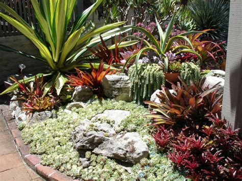 One good design option is to make a flowing 'stream' of rocks going. Everything You Need to Know about Succulents | World of ...