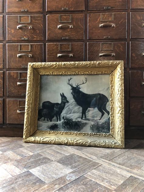 Antique Framed Print, Large Antique Print in Gold Frame, Deer Buck ...